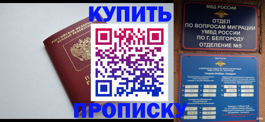 прописка регистрация в Кораблино
